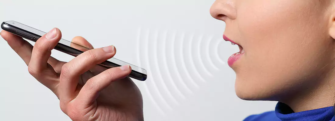 Residential and Commercial Voice Recognition Access Solutions in Four Corners, FL